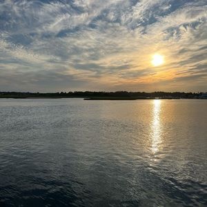 Meet your Posher, Winnie